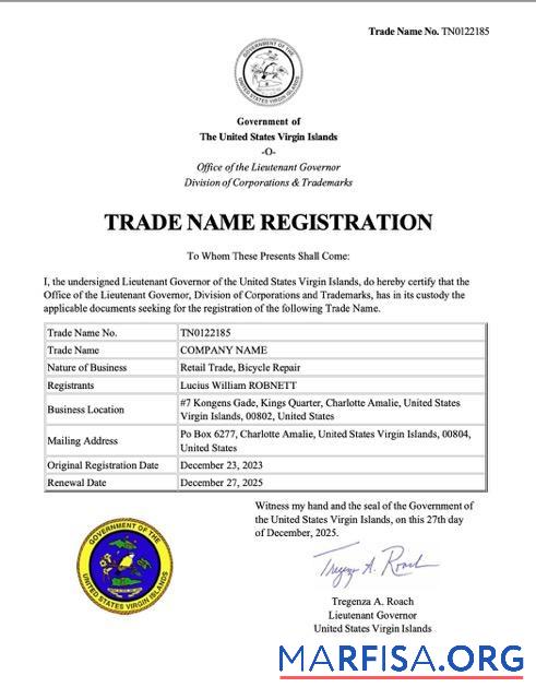 Blank Virgin Island trade name registration certificate Word and PDF template